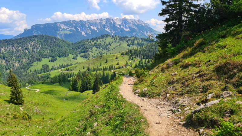 An inviting path meanders down the hillside through green meadows and trees. In the background are the Wilder Kaiser Mountains