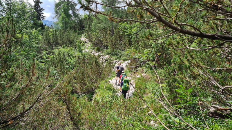 trekker hiking on a typical forest path in the Julian Alps